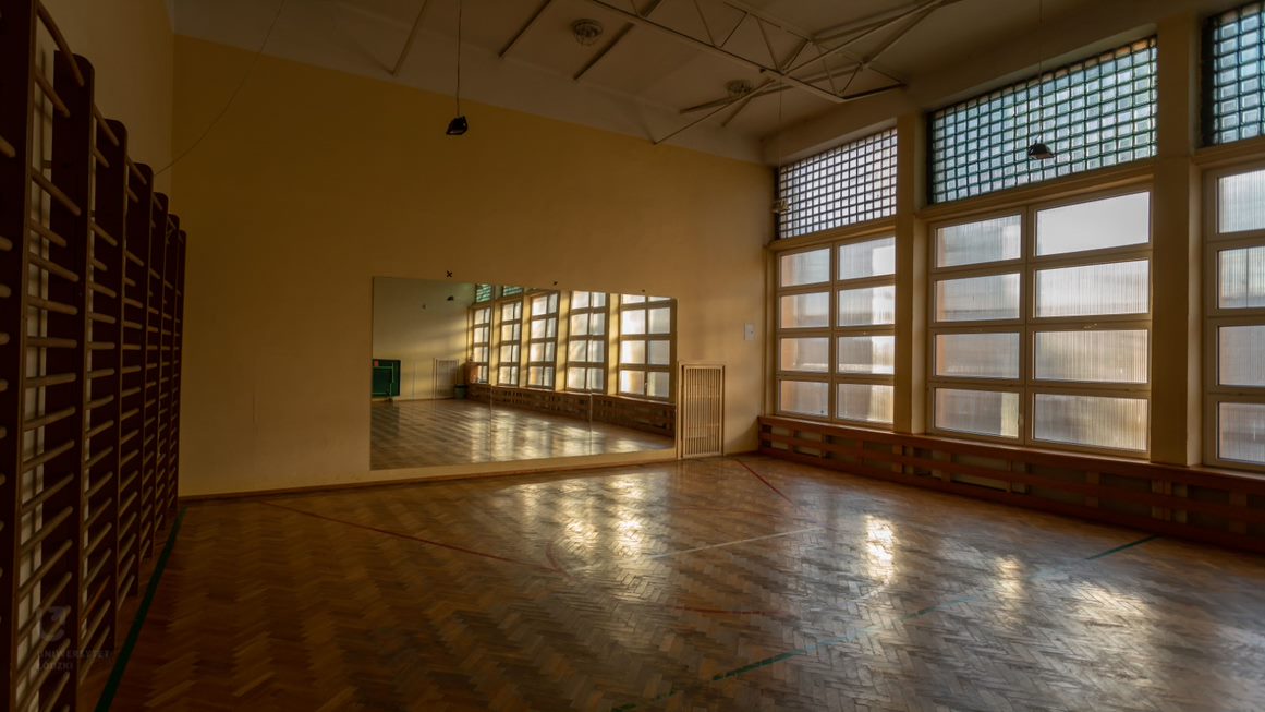Sala gimnastyczna z drabinkami