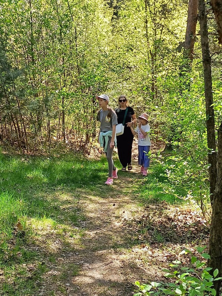 zdjęcie przedstawia osoby spacerujące lasem